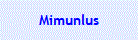 Mimunlus