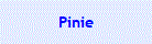 Pinie